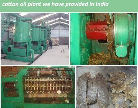 Oil press machine Large palm kernel nut fruit tea sunflower seed screw oil expeller machine supplier