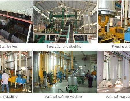 High Technology palm oil processing extracting machine and palm oil refining machine supplier
