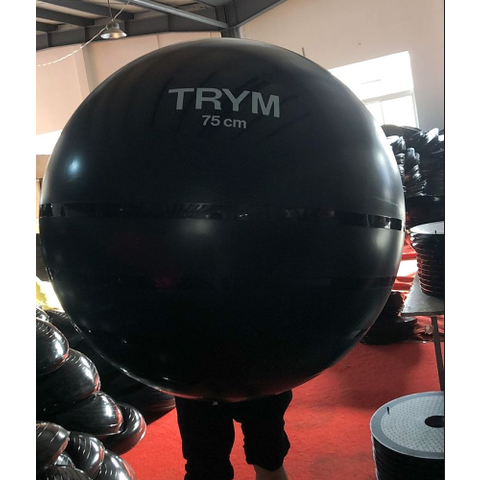 Buy Wholesale China Anti-burst Gym Ball ;material: Pvc;dia:75cm; Weight:  1300g With Foot Pump & Anti-burst Gym Ball at USD 4.8