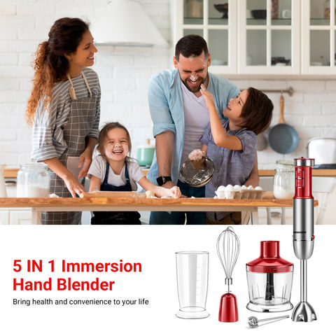 Stainless steel immersion hand blender