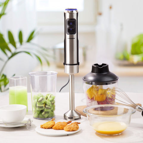 5 Core Handheld Blender, Electric Hand Blender 8-Speed 500W, Immersion Hand  Held Blender Stick with Food Grade Stainless Steel Blades for Perfect for  Smoothies, Puree Baby Food & Soup 