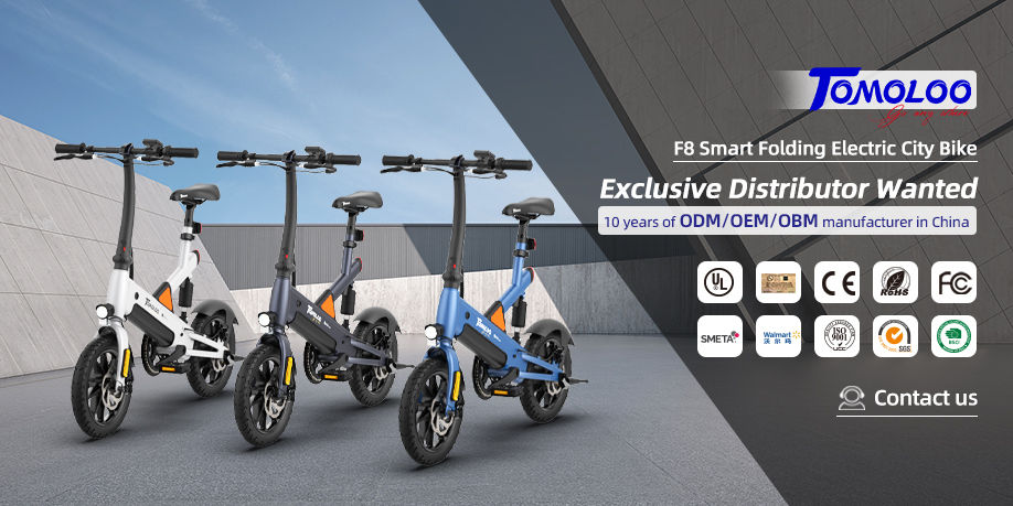 F8 Removable Battery 700w 14-20inch Fat Tire Adult Folding E Bike