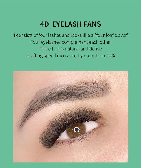 Clover/W-shaped Lashes