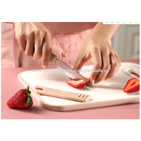 Paring Knife Fruit Cutting Tool - China Stainless Steel Knife and Paring  Knife price