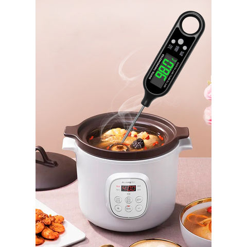 Digital Electronic Kitchen Food Thermometer with Timer for Meat Oven -  China Meater, Candy Thermometer