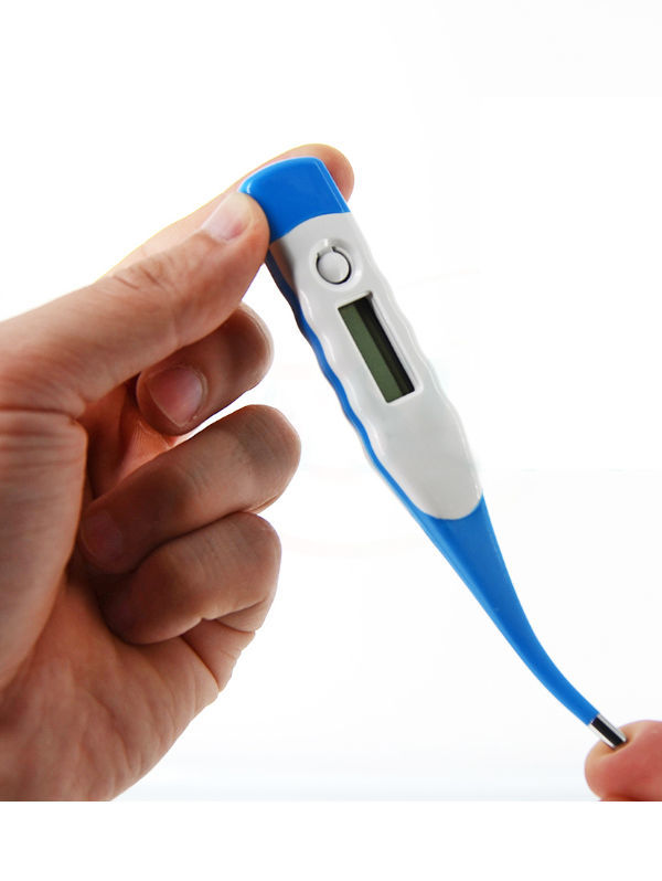 https://p.globalsources.com/IMAGES/PDT/B5363897432/Flexible-Thermometer.jpg