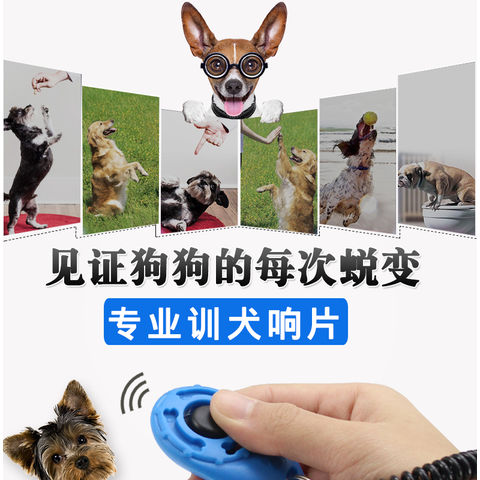 Custom Printed Pet Training Clicker Key Chain