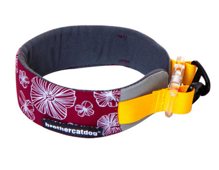 bulk martingale dog collars