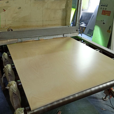 18mm 4*8 'contrachapado de abedul precio para el mercado de Vietnam