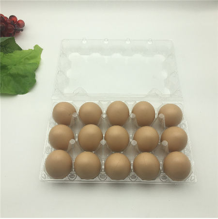 Pack de 12 Huevos de Plástico