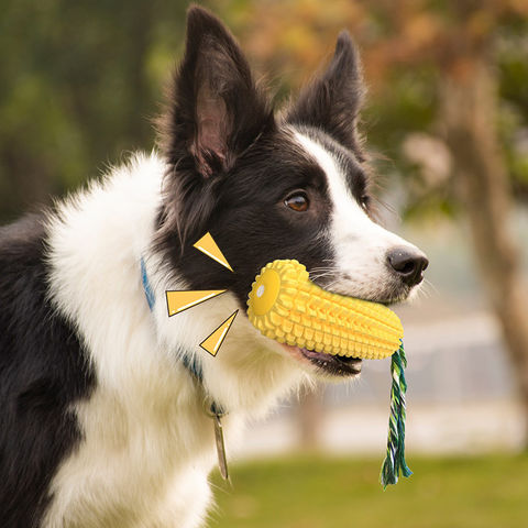 Interactive Dog Toys Milk Flavor Dog Teeth Grinding Toys - Pet Clever