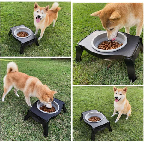 Single Raised Dog Feeder/waterer/elevated Feeding 