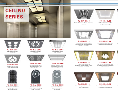 FUJI DLS Big Capacity Energy Saving Freight Elevator Goods Cargo Elevator Cargo Lift Warehouse Lift supplier