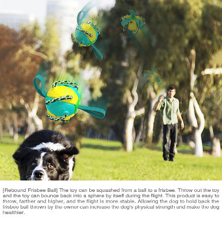 Frisbee Ball Training Ball Throwing Interactive Rebound Ball For Dog Toys Pet Training Ball 9.21Oz supplier