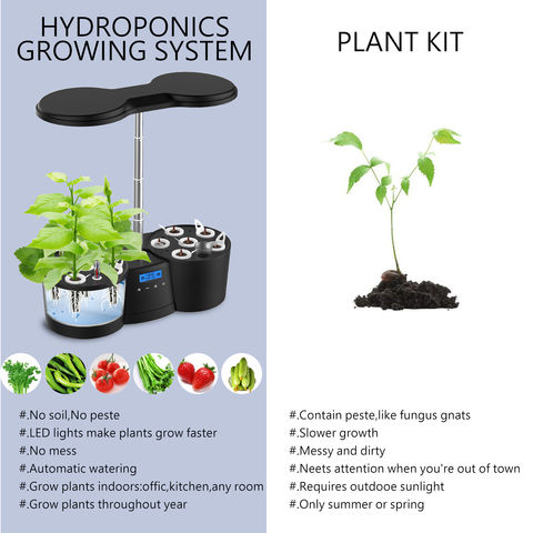 Kit de 50 éponges de croissance pour système hydroponique Kit de gousses de  démarrage pour semis