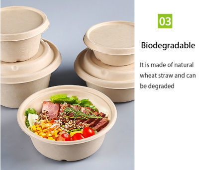 https://p.globalsources.com/IMAGES/PDT/B5388268992/disposable-food-containers.jpg