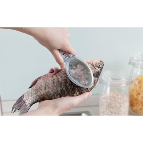 Outils de cuisine grattoir à écailles de poisson outil de suppression des écailles de poisson domestique