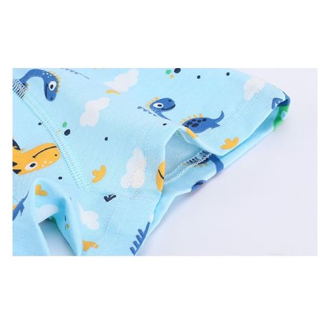 Aop Cute Car Print Comfort Cotton Kids Briefs Panties with Factory Price -  China Underwear and Boxers price