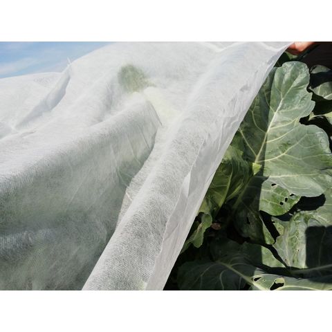 Tissu non tissé en gros pour couvertures végétales
