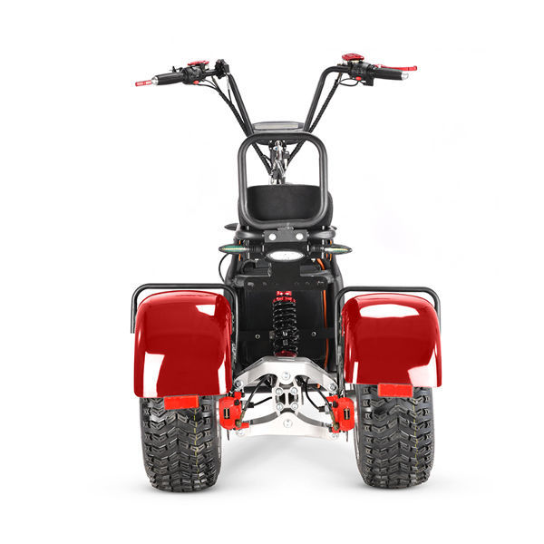 Compre Preço Barato Cee Triciclo De 3 Rodas 2000w Citycoco Scooter