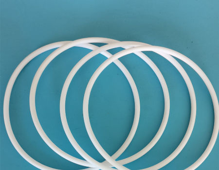 PTFE Envelope Gasket With S.S. Ring at Lowest Price in Vadodara -  Manufacturer,Supplier,Exporter,India
