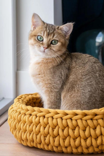 Chunky yarn crochet pet bed soft woven dog bed pet arm knit giant chunky braid cotton tube cave bed supplier