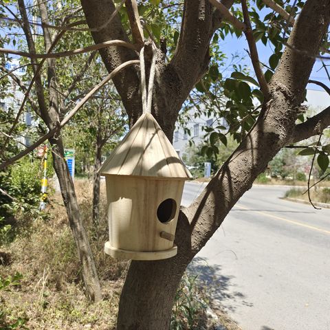 Nichoirs Pour L'Extérieur,Nid De Colibri En Bois Bricolage Pour Suspension  Extérieure