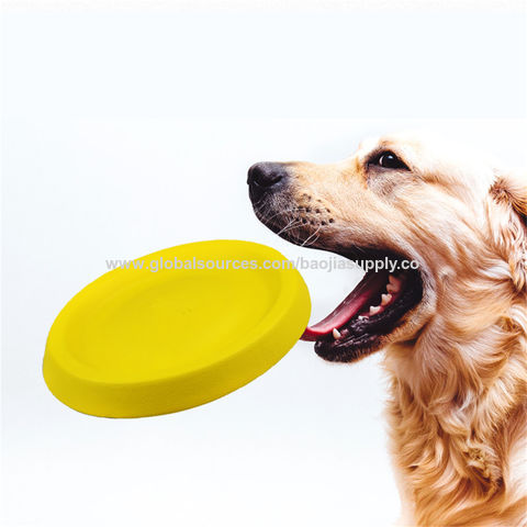 Frisbee para mascotas, juguete interactivo para entrenamiento canino, Frisbee fácil de lanzar, juguete para perros y mascotas