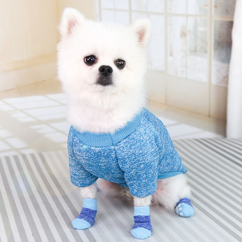 Dog socks for best sale sale