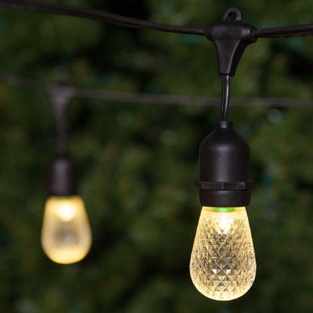 festoon lights replaceable bulbs