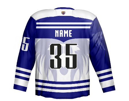Customize Sublimation Ice Hockey Jersey Of Blue And White Colors