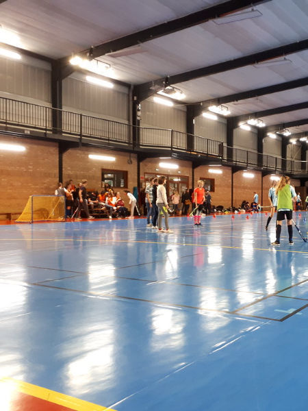 Steel Structure Pre Designed Engineering Building Sports and Recreation supplier