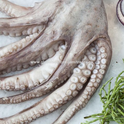 Pulpo congelado barato del bebé/pulpo grande del tamaño con precio competitivo