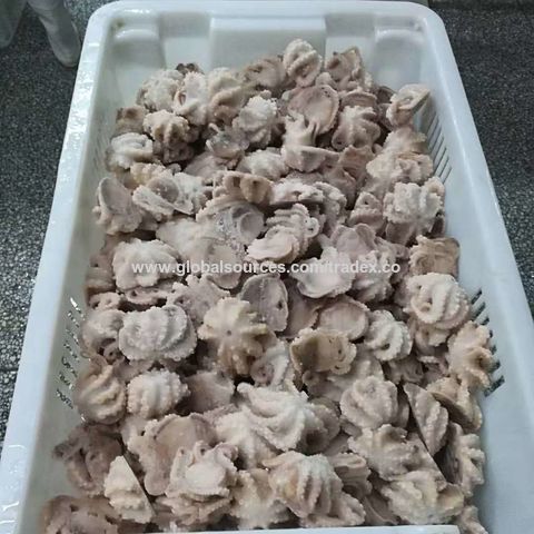 Pulpo congelado barato del bebé/pulpo grande del tamaño con precio competitivo