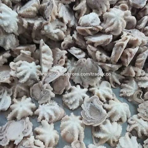 Pulpo congelado barato del bebé/pulpo grande del tamaño con precio competitivo
