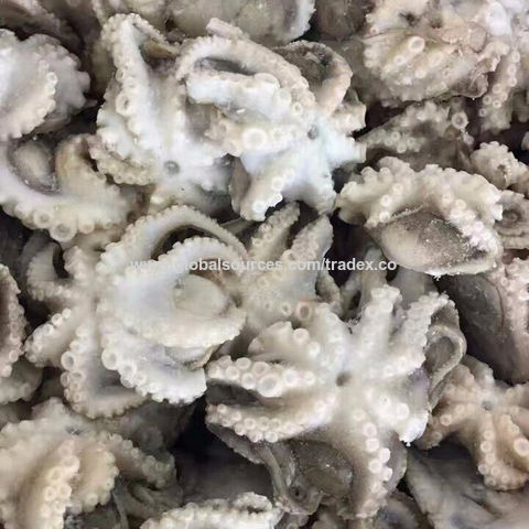 Pulpo congelado barato del bebé/pulpo grande del tamaño con precio competitivo