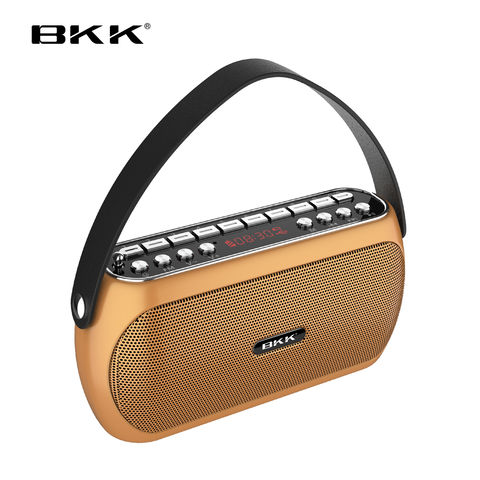 Radio FM Portátil con Bluetooth 5,0, Mini reproductor de música MP3, TWS,  inalámbrico, compatible con tarjeta TF, disco U, AUX, llamadas con manos  libres