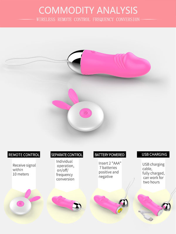 Remote Control 10 Velocidades Lace Panty Mini Vibrador Sex Toys