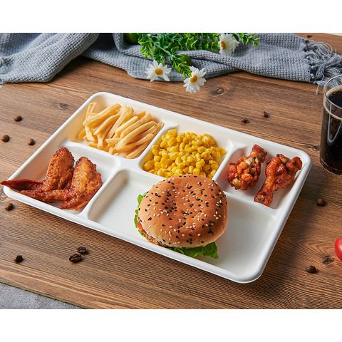 Disposable School Lunch Trays: Foam Lunch Trays in Bulk