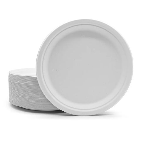 I00000 Heavy Duty 100% Compostable 10 Inch Paper Plates, 100 Pack  Disposable Plates Bagasse Plates Biodegradable Eco-Friendly Natural White  Sugarcane