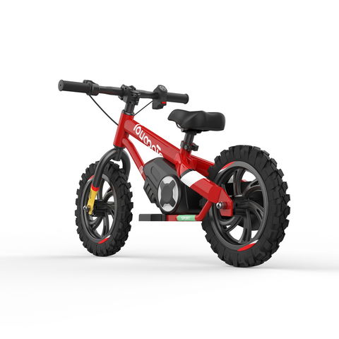 Bicicleta elétrica infantil bateria 24v motor 250W