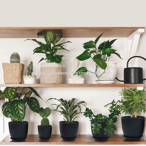 https://p.globalsources.com/IMAGES/PDT/B5422511904/plant-pots.jpg