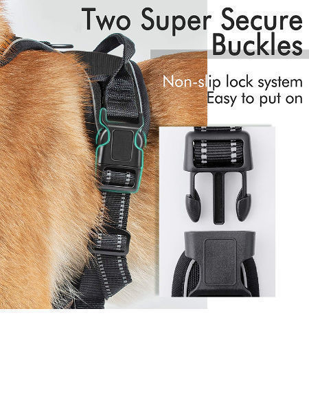 Universal - Gilet à faisceaux réglable pour chiens et chats Gilet à  faisceaux réflecteur pour chiens et chats avec corde de plomb à traction  Accessoires pour animaux de compagnie Gilet respirant pour