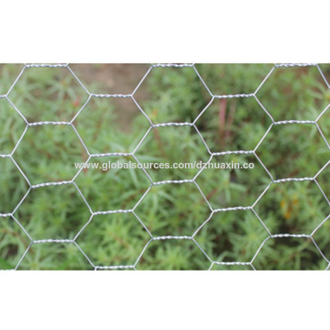 Chicken Wire Mesh - Hexagonal Wire Netting for Plastering