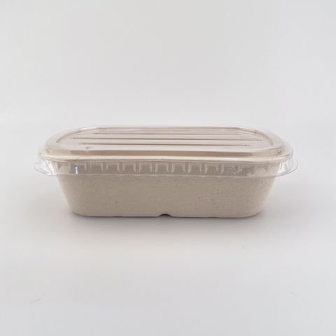 Caja de Almacenamiento de Plástico Desechable para Alimentos y Frutas -  Contenedor para Decoración de Bodas