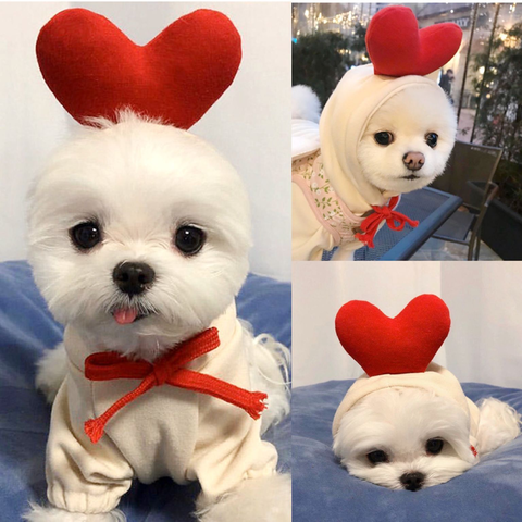 Clothes for best sale toy dogs