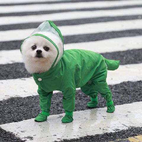 animal raincoat