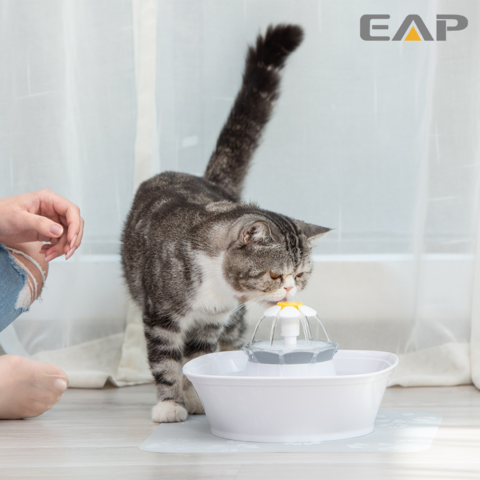 pompe fontaine à eau pour chat Mini pompe de fontaine à boire pour animaux  de compagnie 2,4 l fontaine à eau automatique pour chat avec LED  accessoires de fontaine à boire pour