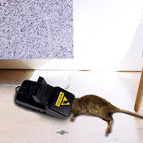 Strong Snap Mouse Rat Traps-High Sensitive Snap Big Plastic Mouse Trap  Rodent Catcher