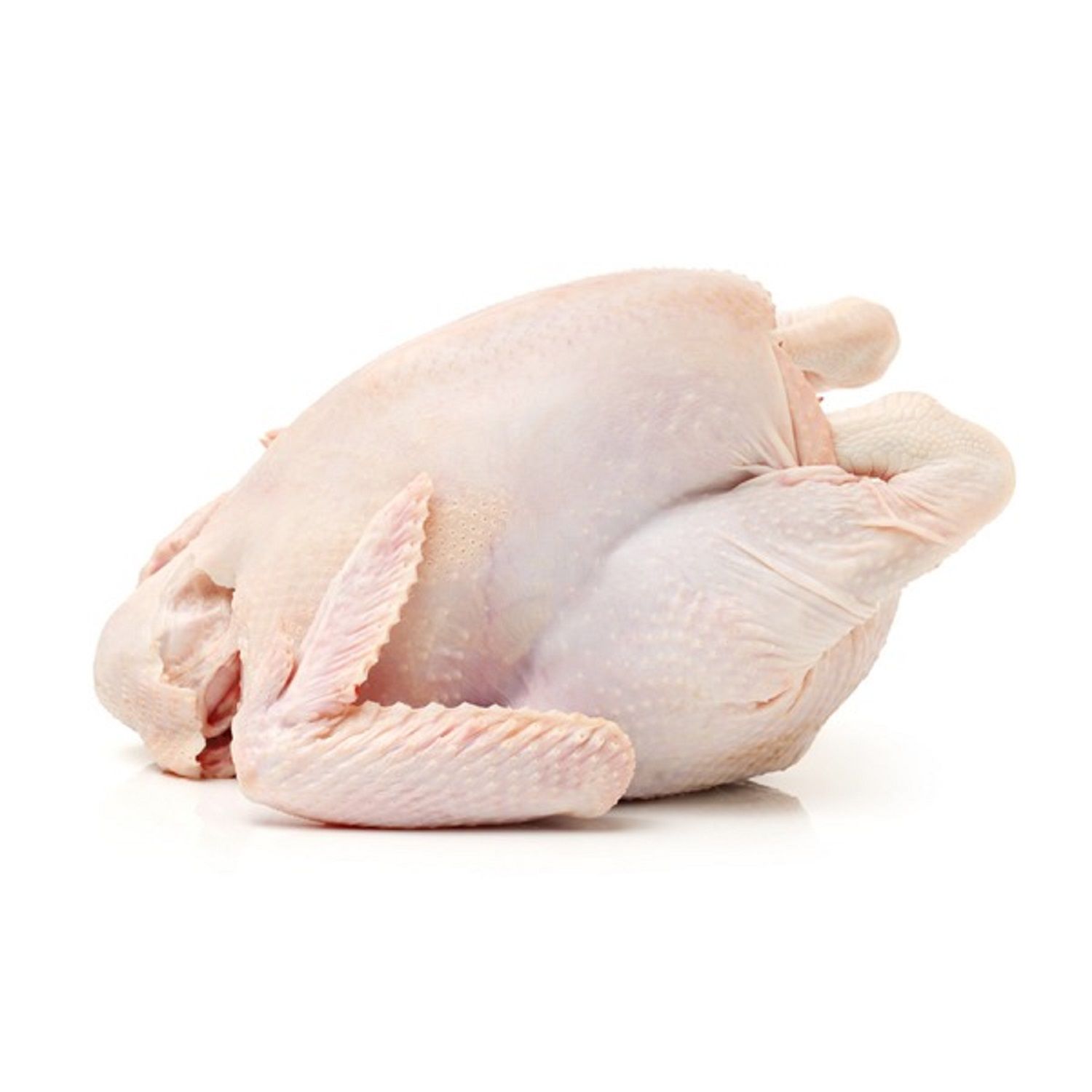Buy Wholesale Germany Halal Frozen Whole Chicken Halal Chicken